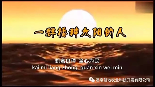 ȫʡr(nng)I(y)F(xin)F(tun)C݅^(q)^ĦW(xu)(x)