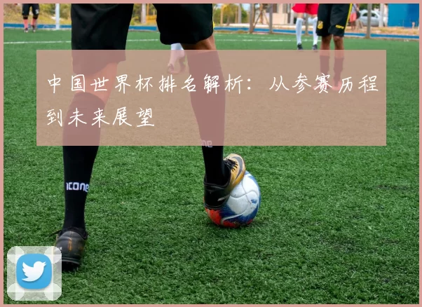 中国世界杯排名解析:从参赛历程到未来展望
