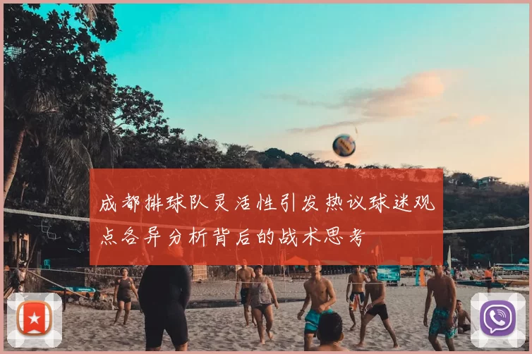 成都排球队灵活性引发热议球迷观点各异分析背后的战术思考