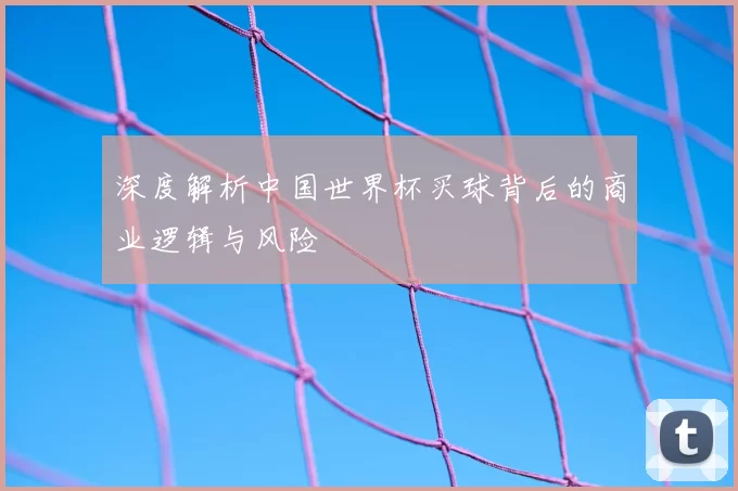 深度解析中国世界杯买球背后的商业逻辑与风险