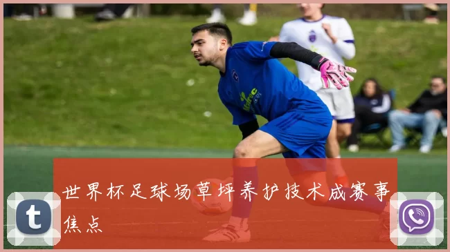 世界杯足球场草坪养护技术成赛事焦点