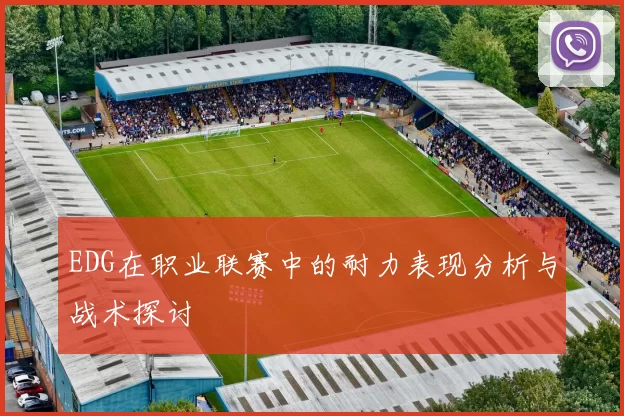 EDG在职业联赛中的耐力表现分析与战术探讨