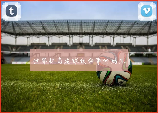 世界杯乌龙球致命事件始末