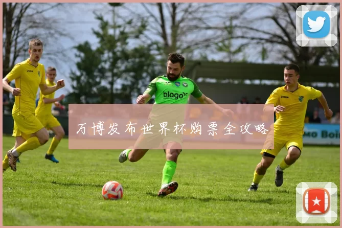 万博发布世界杯购票全攻略