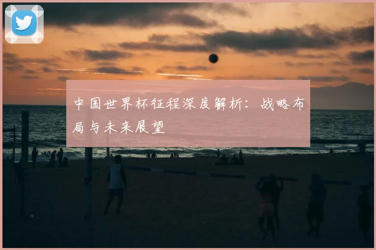 中国世界杯征程深度解析：战略布局与未来展望