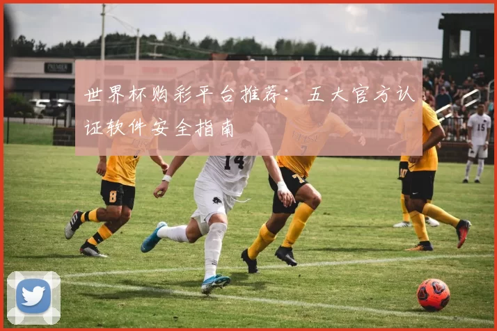 世界杯购彩平台推荐:五大官方认证软件安全指南