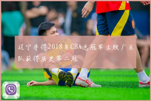 辽宁夺得2018年CBA总冠军击败广东队获得历史第二冠