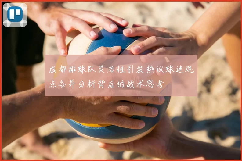 成都排球队灵活性引发热议球迷观点各异分析背后的战术思考