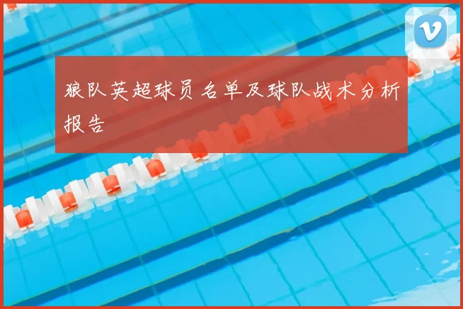 狼队英超球员名单及球队战术分析报告