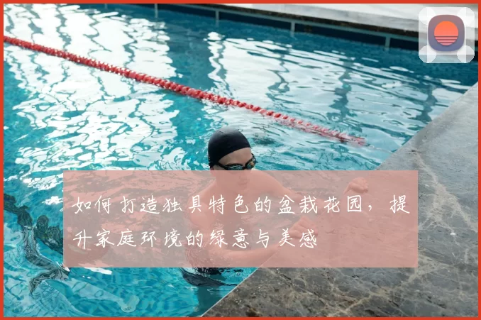 如何打造独具特色的盆栽花园，提升家庭环境的绿意与美感