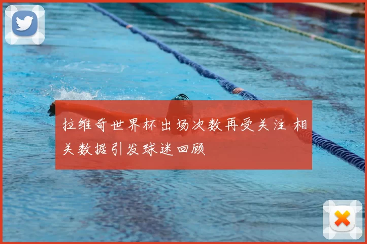 拉维奇世界杯出场次数再受关注 相关数据引发球迷回顾