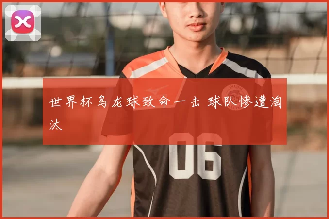 世界杯乌龙球致命一击 球队惨遭淘汰