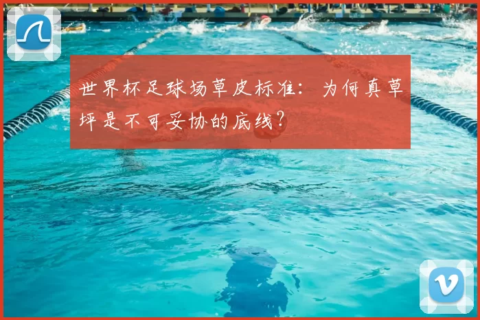 世界杯足球场草皮标准:为何真草坪是不可妥协的底线?