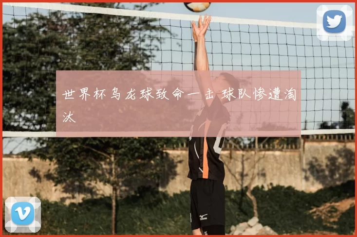 世界杯乌龙球致命一击 球队惨遭淘汰