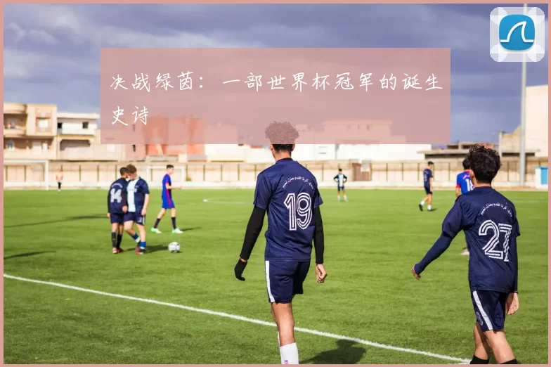 决战绿茵:一部世界杯冠军的诞生史诗