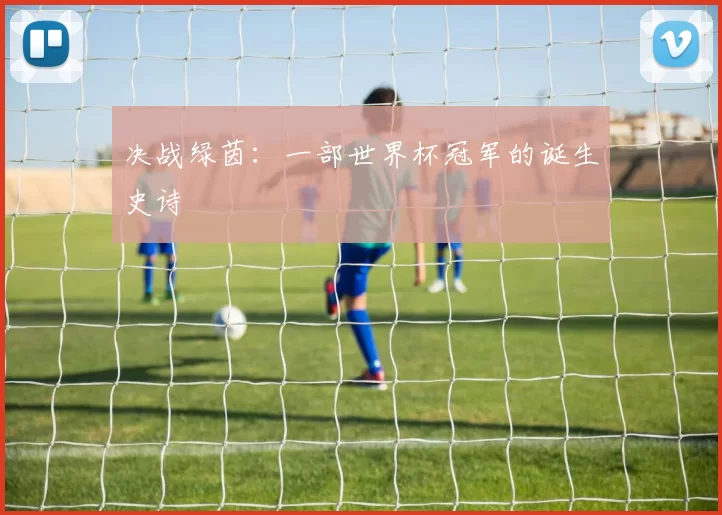 决战绿茵:一部世界杯冠军的诞生史诗