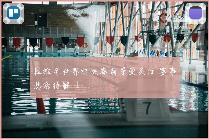 拉维奇世界杯决赛前景受关注 赛事悬念待解_1